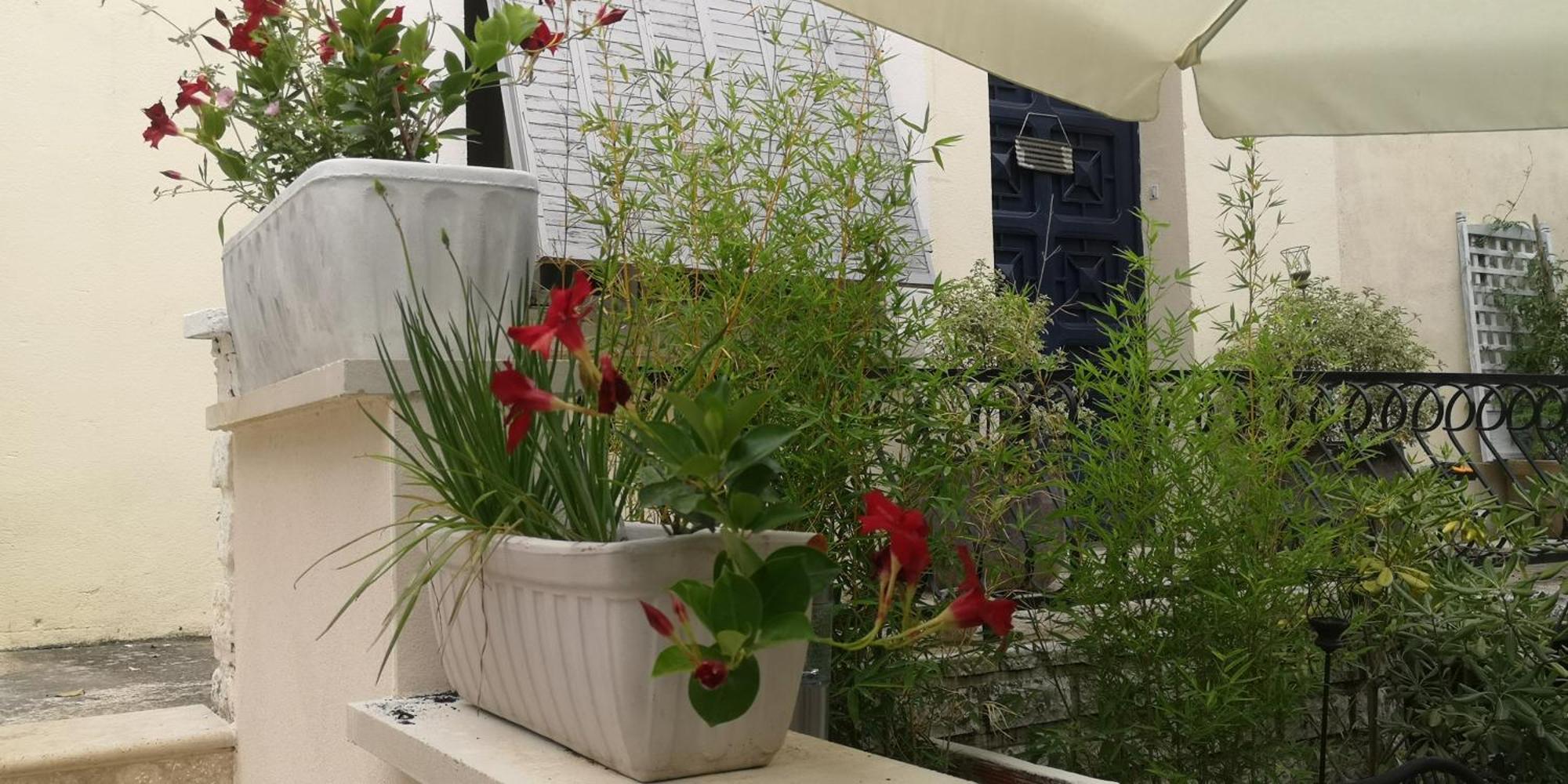 Valréas L'Empire D'Essences Appartement מראה חיצוני תמונה